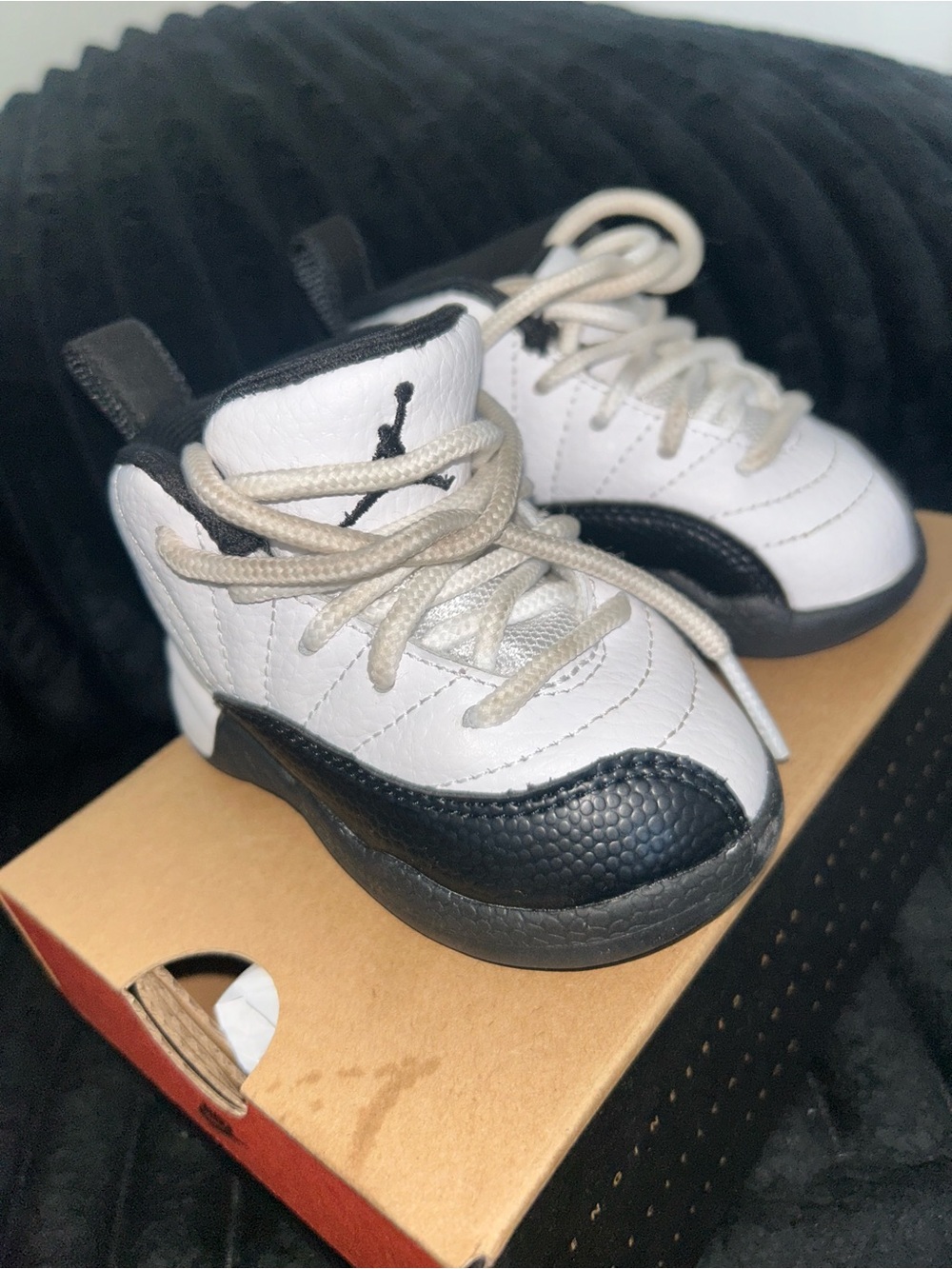 Baby/Toddler Jordan retro 12